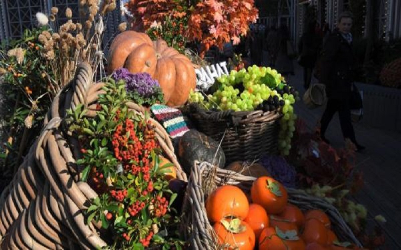 أبرز أطعمة الحصاد الخريفي