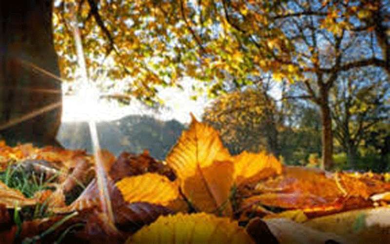 اجواء خريفية معتدلة في الأردن