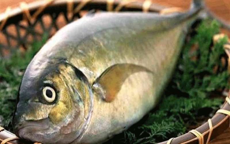 دراسة تثبت أن أصل الإنسان نوع