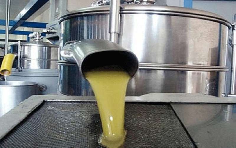 فتح معاصر الزيتون الاثنين