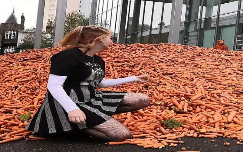 32 طنا من الجزر أمام جامعة