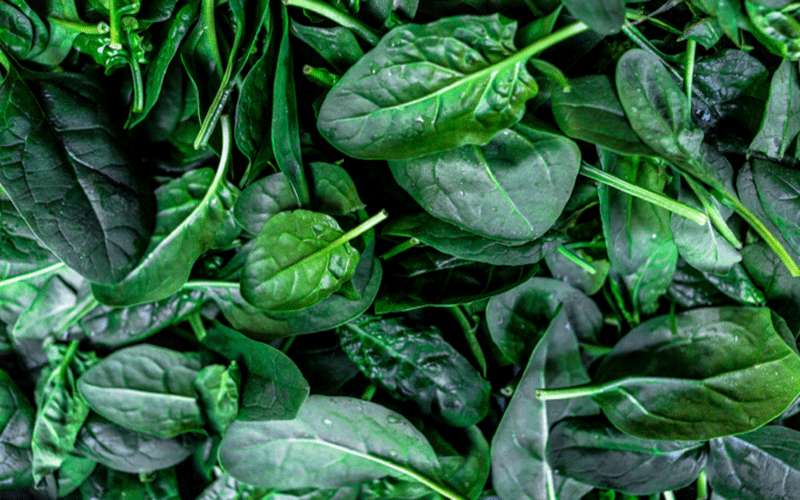 تحويل السبانخ إلى محفز للبطاريات القادرة