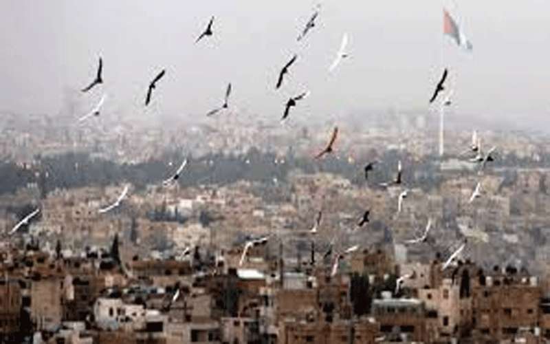 ارتفاع قليل على درجات الحرارة