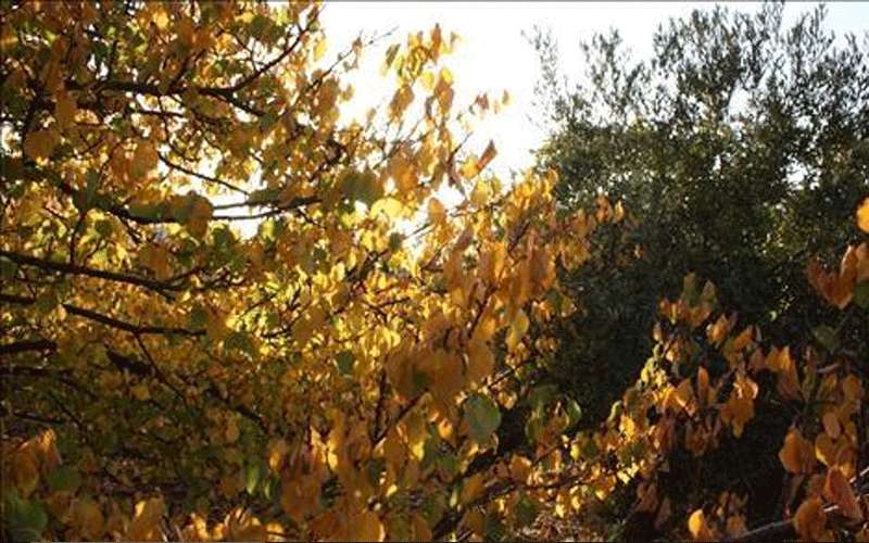 انخفاض على درجات الحرارة وعودة الطقس