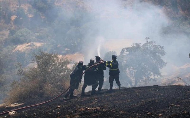 اخماد حريق أتى على 40 دونما