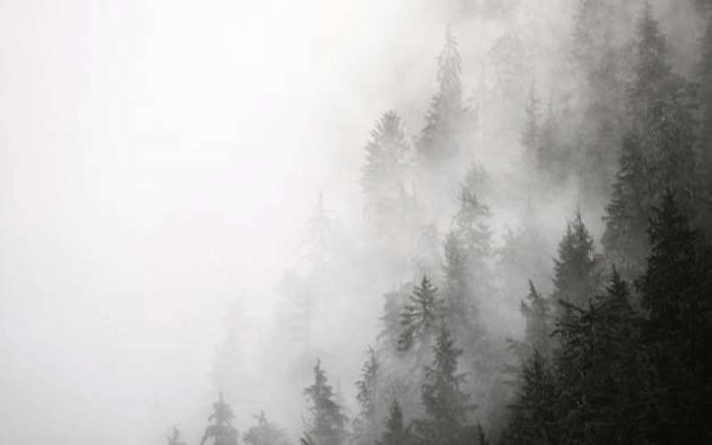 الأمن يحذر من الضباب