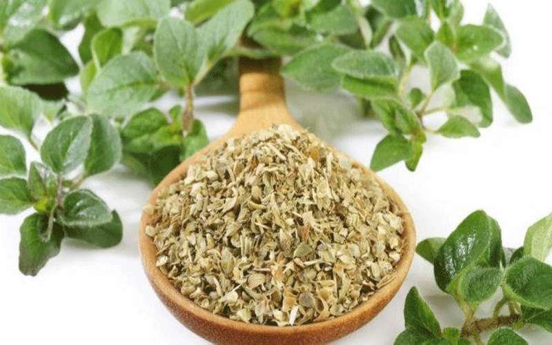 تعرفوا على مخاطر البردقوش