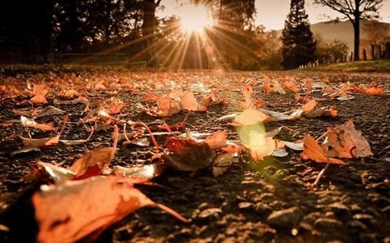 أجواء خريفية معتدلة الخميس