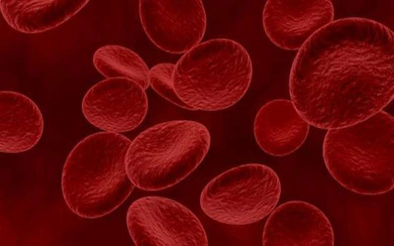 5 أطعمة ومشروبات تخفض يوريا الدم