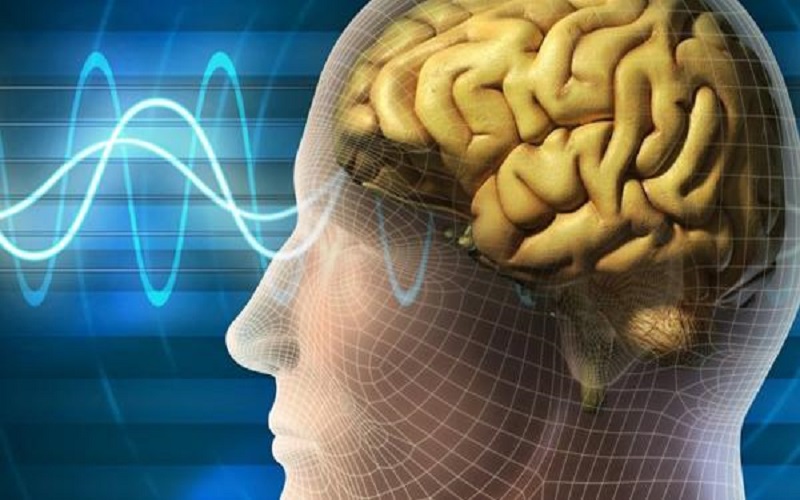 علماء يتحدثون عن العملية التي يمر