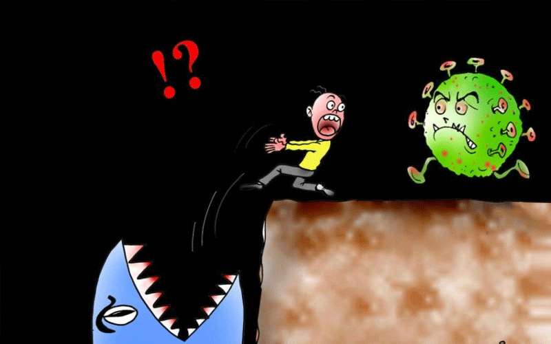 بعد الضبع.. . تصريحات حوادث السير