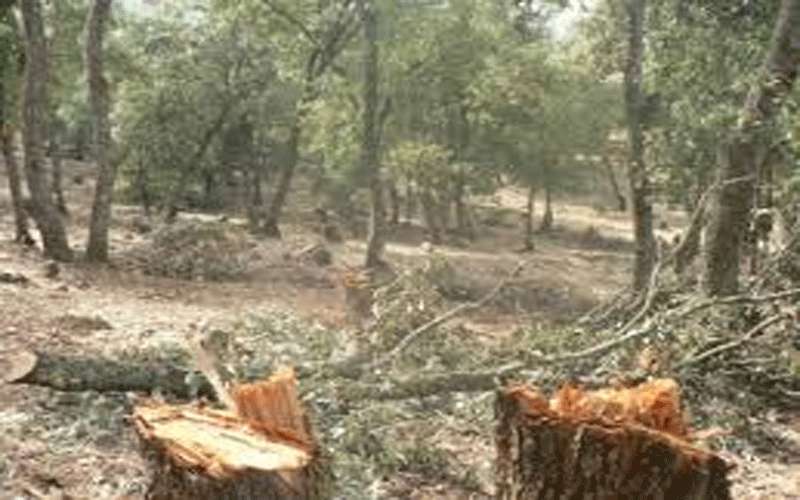 توجيه من الحواتمة لجلب المعتدين على