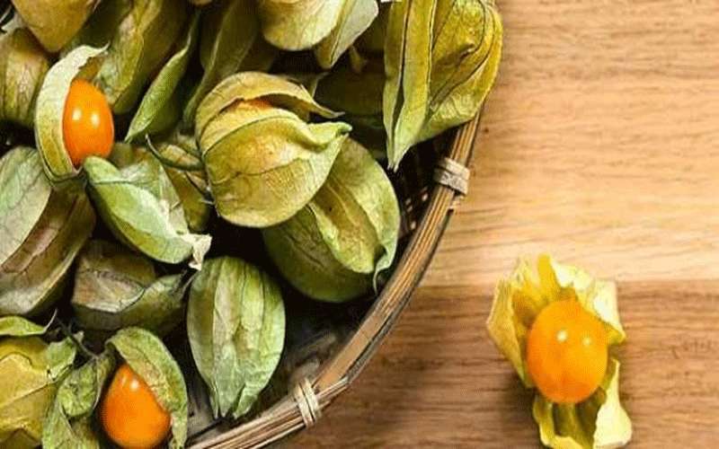 فوائد غير متوقعة لـ الحرنكش