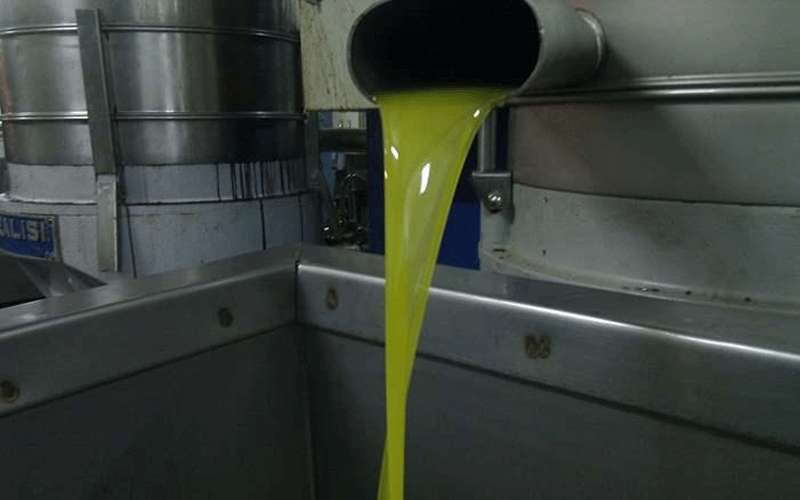 معاصر الزيتون تشتكي من حظر التجول