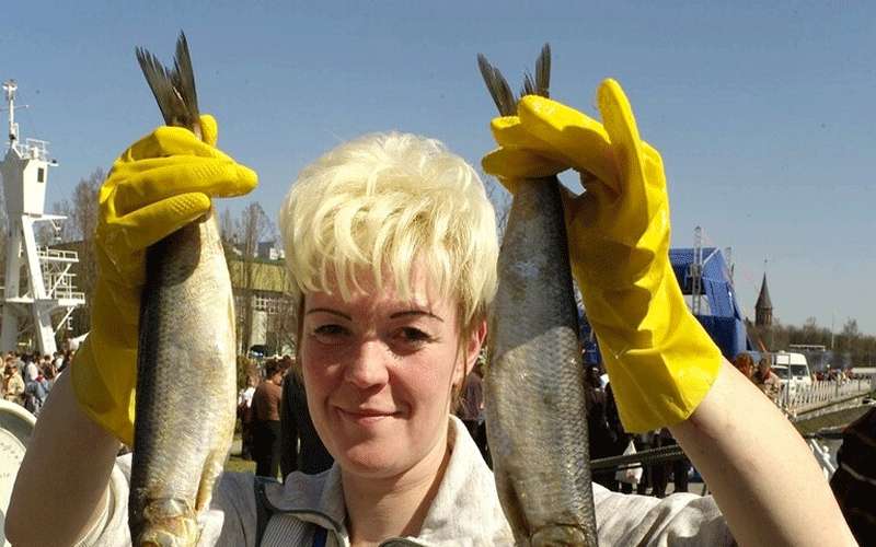 طبيب يحدد قواعد بسيطة في اختيار