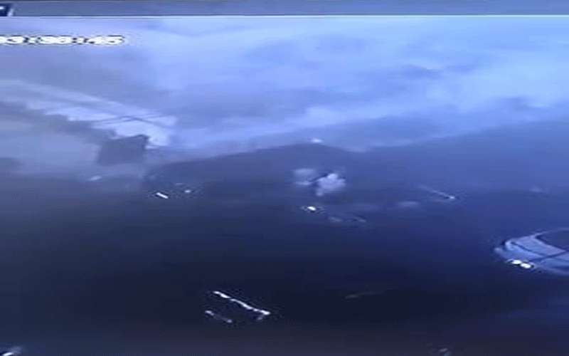 لصوص بلباس التقصي الوبائي في اربد