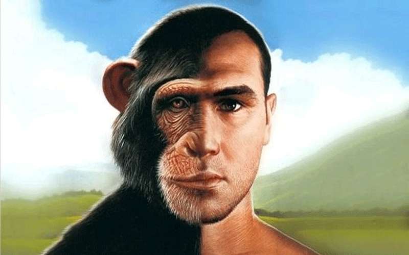 علماء يجرون أول عملية تهجين بين