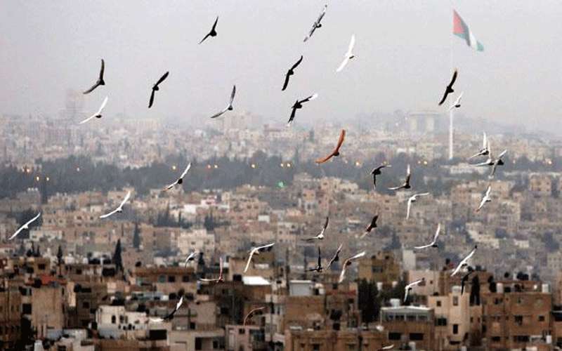 أجواء خريفية مائلة للبرودة الإثنين