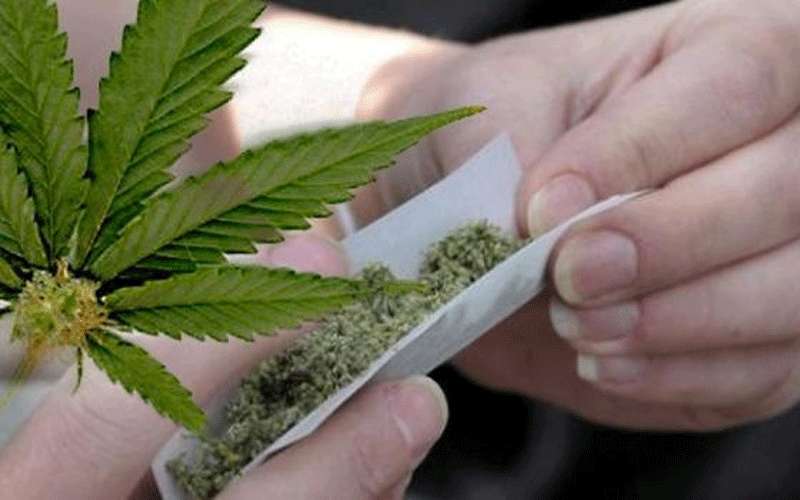 روسيا تعلق على استبعاد الماريغوانا من