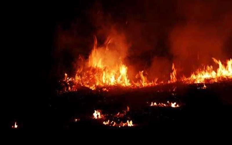 احتراق مصنع كيميائيات في الهند