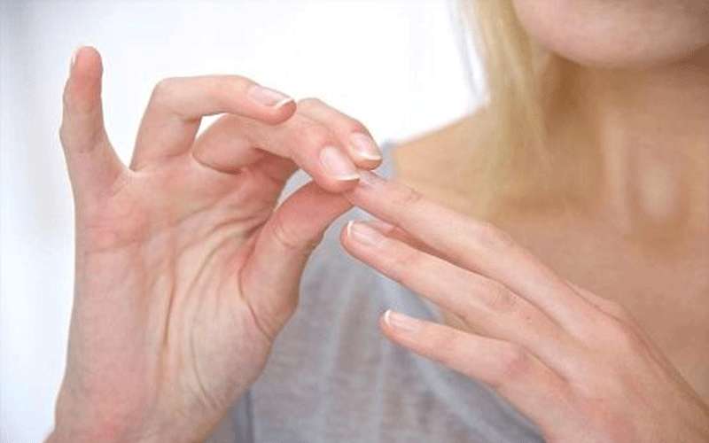 نبات مهمل يعالج 20 مرضا.. تعرف