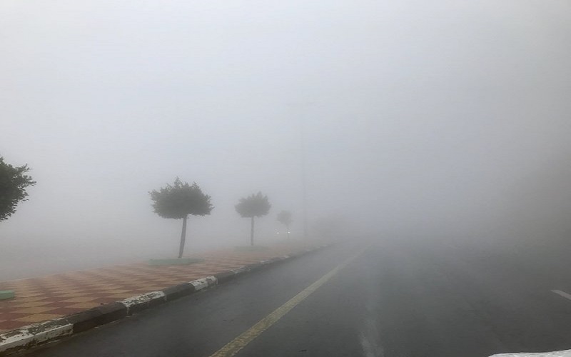 ضباب كثيف الخميس صباحا في العديد