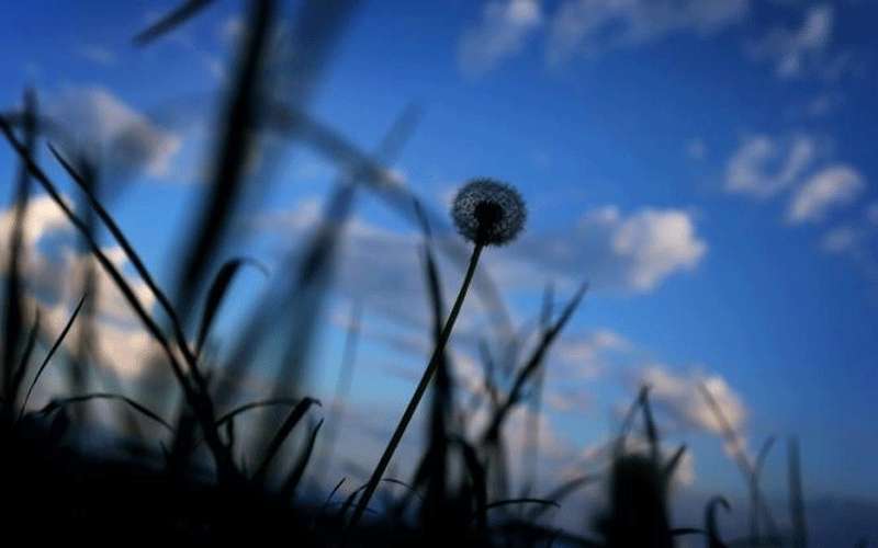 طقس بارد ورطب اليوم