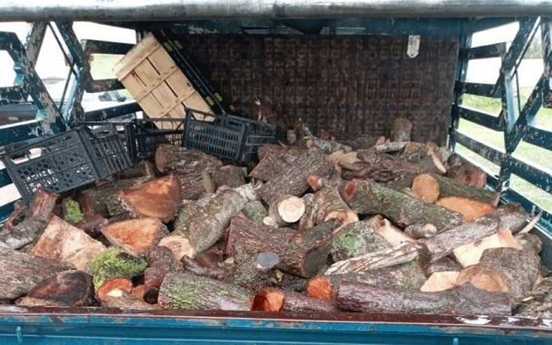 ضبط 4 اشخاص قاموا بالتحطيب الجائر