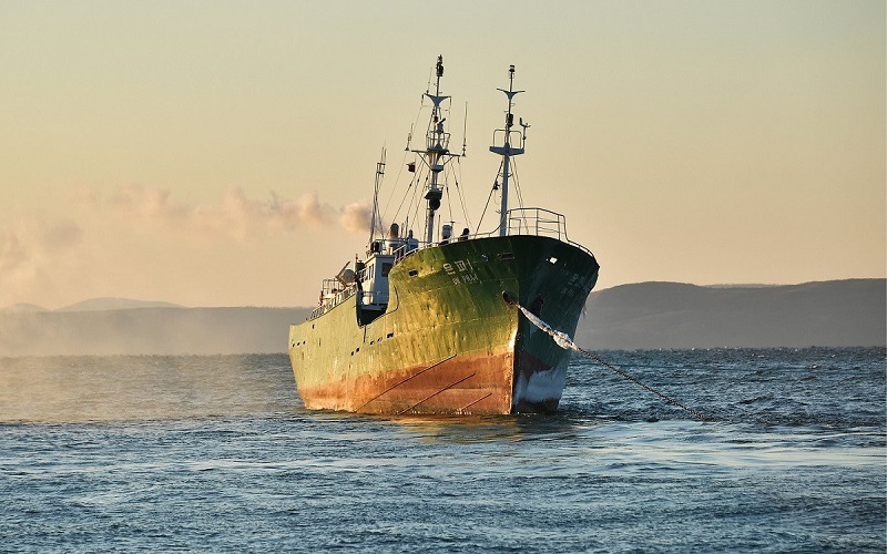 كوريا الشمالية تعدم صيادا رميا بالرصاص