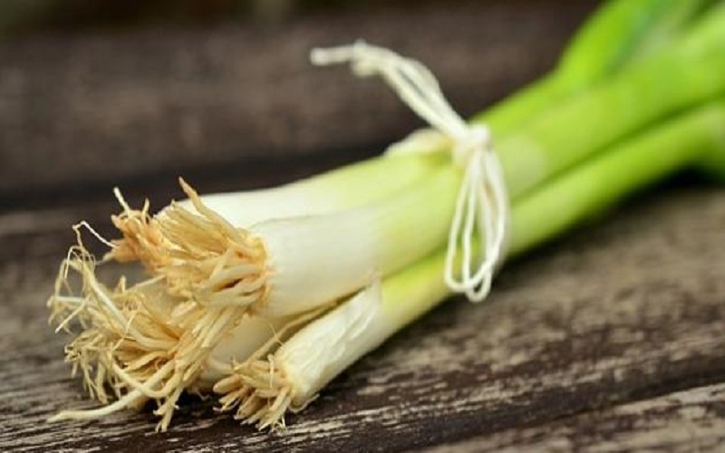 6 فوائد مذهلة لتناول البصل الأخضر