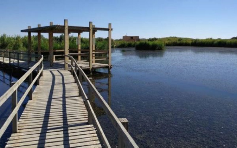 الملكية لحماية الطبيعة تفتتح مجموعة حدائق