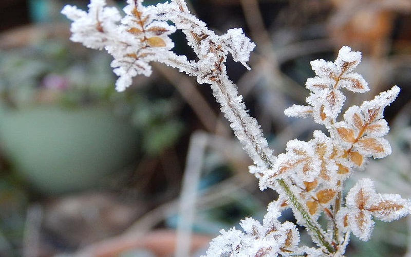 ذروة الطقس البارد الليلة والحرارة تقترب