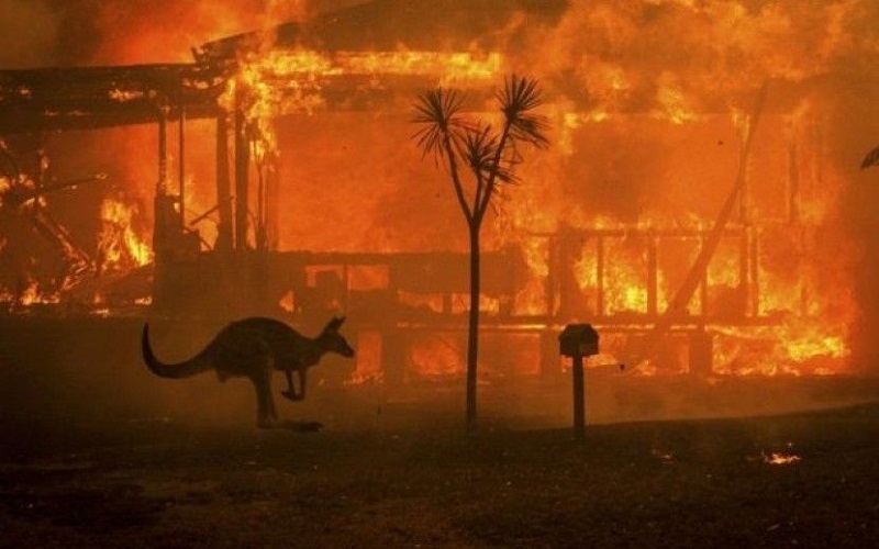 هل العام 2020 هو الأسوأ في