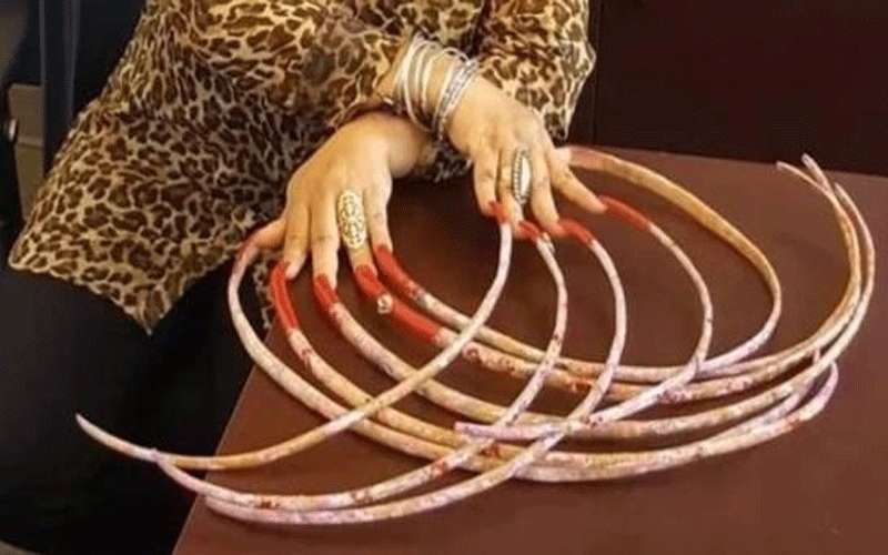 صاحبة أطول أظافر في العالم تعرضها