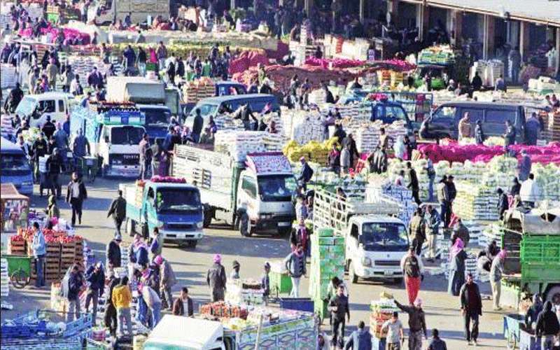 ضبط 17 عاملا وافدا مخالفا داخل