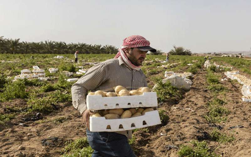 تعليمات جديدة لاستخدام العمال السوريين