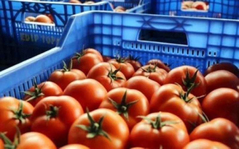 %6.1 نسبة ارتفاع أسعار المنتجين الزراعيين