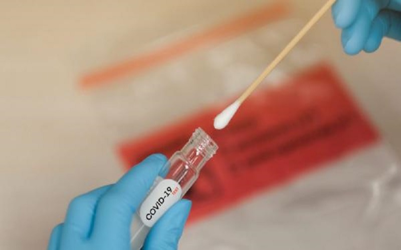 صحة الزرقاء: جمع عينات كورونا من