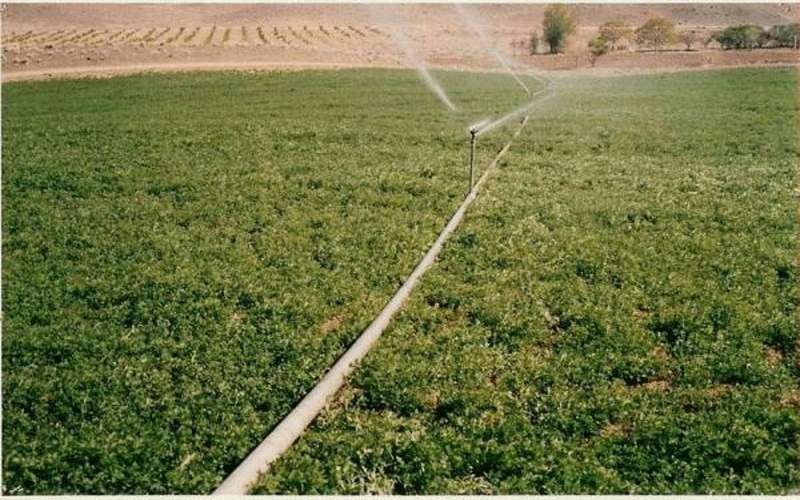 المفرق: اطلاق مشروع استصلاح الاراضي والتنمية