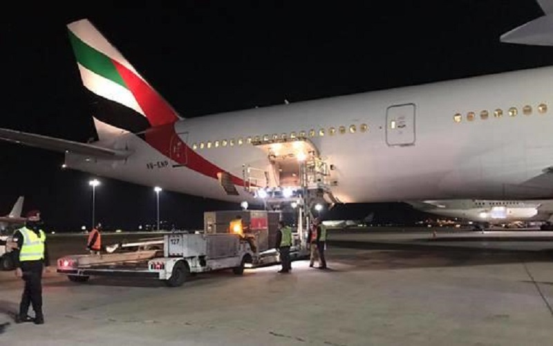 وصول أول شحنة من اللقاح الصيني