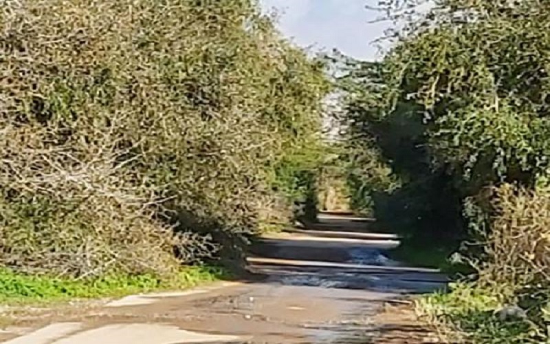 الأغوار الشمالية: طرق زراعية متهالكة ومطالب