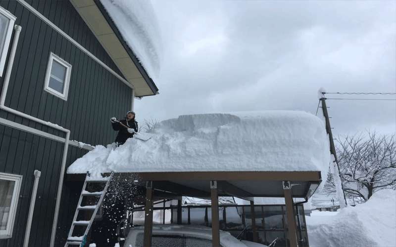 اليابان: غزارة الثلوج تتسبب بوفاة 8