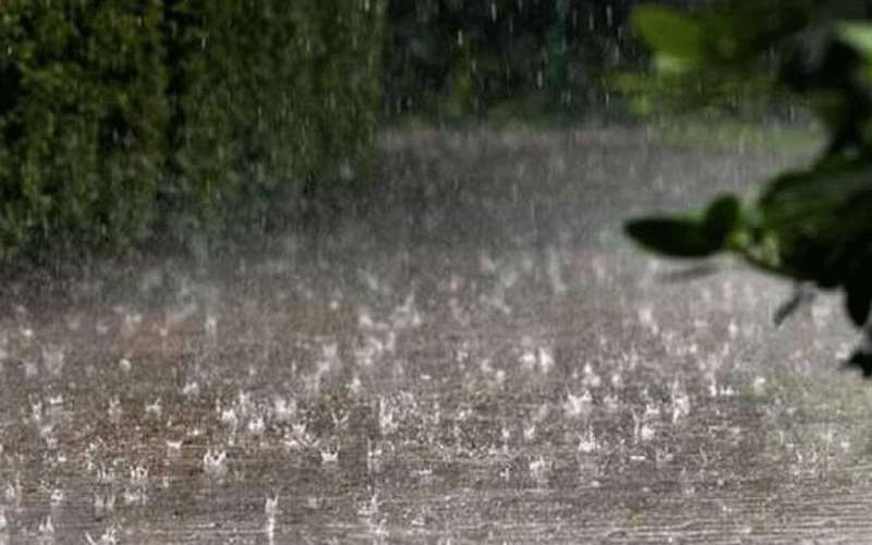 الحرارة أقل من المعدلات بـ7 درجات