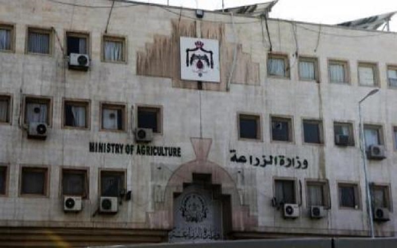 الزراعة تتوقع ارتفاع الصادرات اليومية لدول