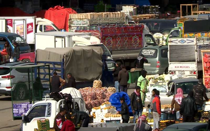 إعادة النظر في تعليمات الاستيراد والتصدير