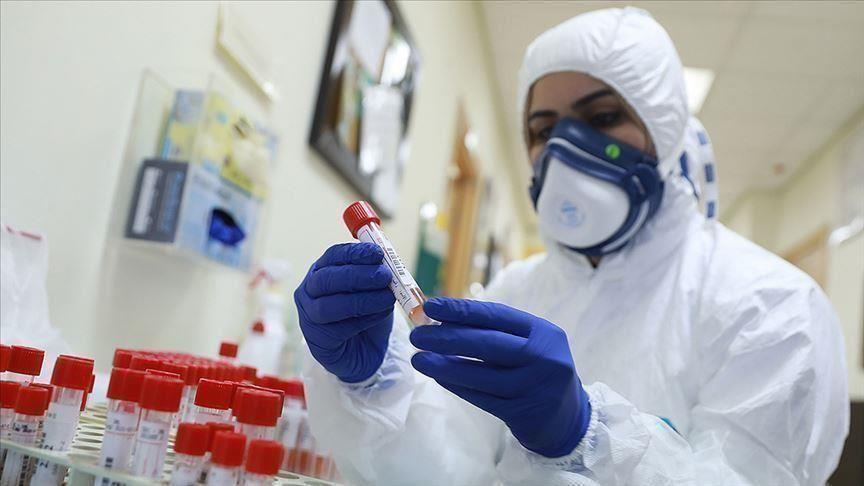 الصحة الفلسطينية تكشف أولوية تلقي اللقاح