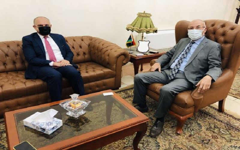 العضايلة يؤكد مواقف الأردن الداعمة للجهود