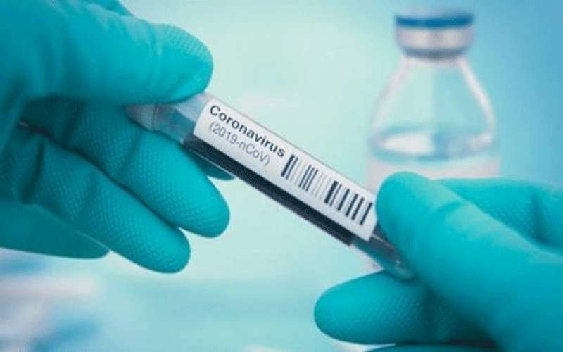 النقل تحول شركة زورت شهادات فحص