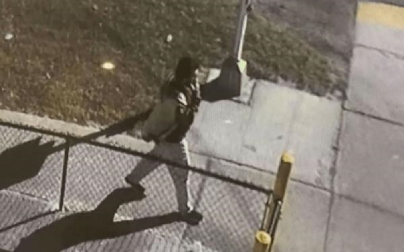 أمريكا .. لص يسرق سيارة محملة