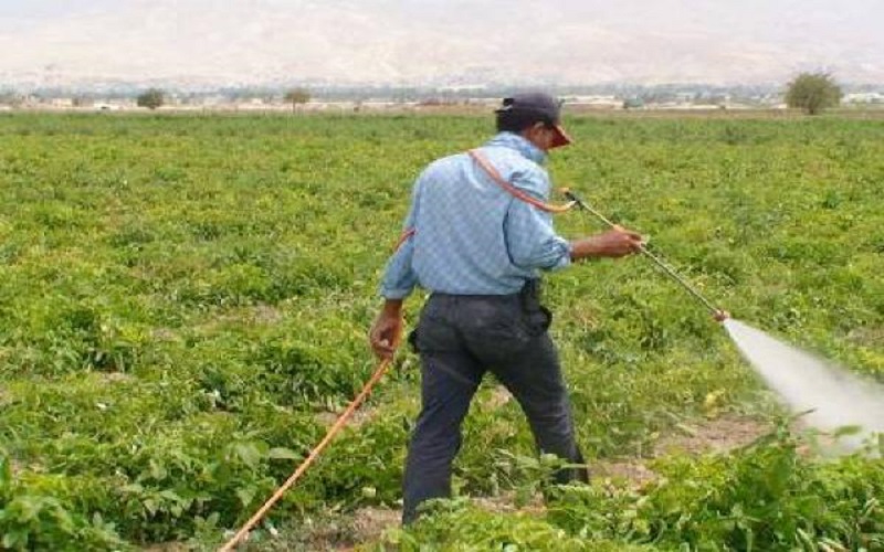 128 مزارعا عدد المسجلين بمشروع استصلاح